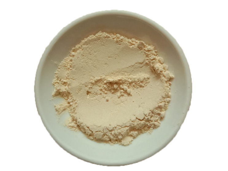 Powder Choline (1)