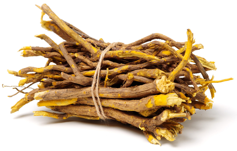 Coptis Root Extract Berberine Hmoov