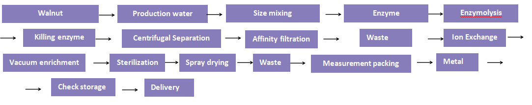 Flow Chart