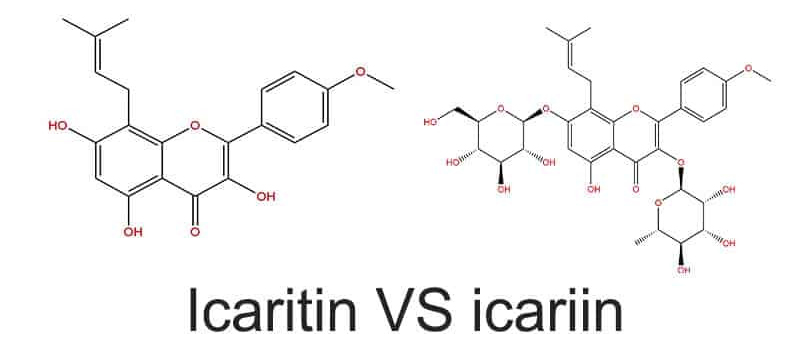 Ikaritiini (2)