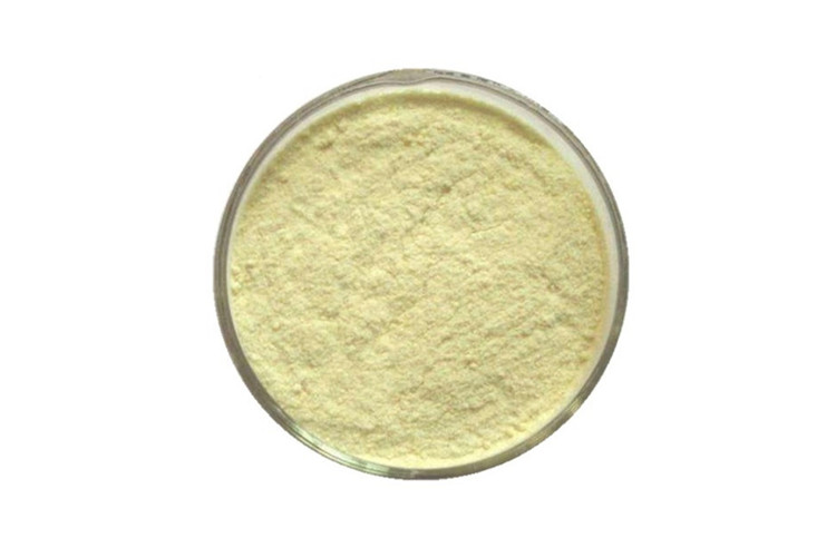 Icaritin پائوڊر (1)