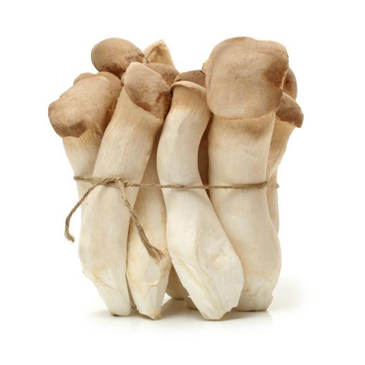 King Oyster Mushroom Extract Pulver