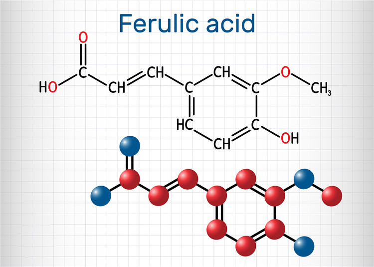 Prirodna ferulna kiselina u prahu006
