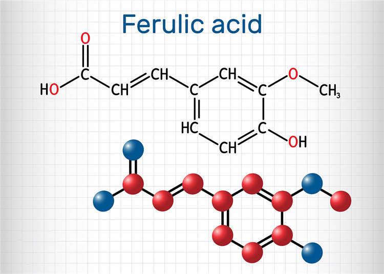 Bubuk Asam Ferulic Alami006