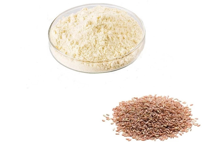 Organiczne białko z brązowego ryżu (1)
