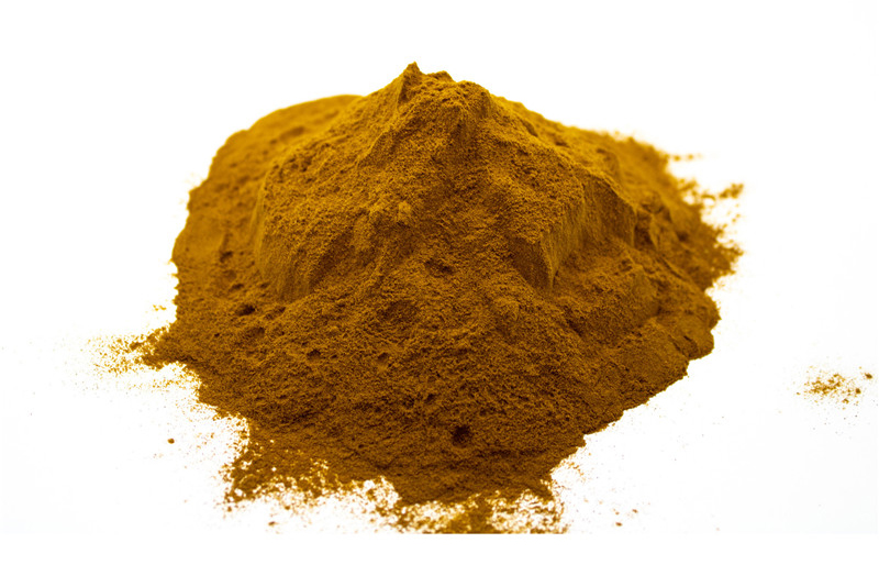 Biologisch Chaga-extract (2)