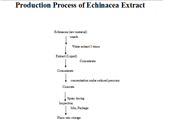 Ekstrak Echinacea Purpurea Organik (1)