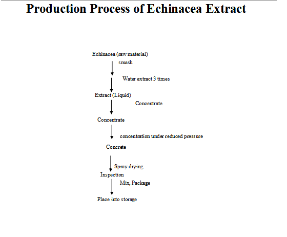 Orgaaniline ehhiaatsia purpurea ekstrakt (1)