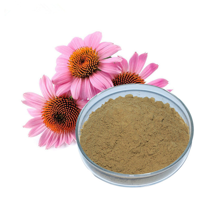 عضوي Echinacea Purpurea استخراج (4)