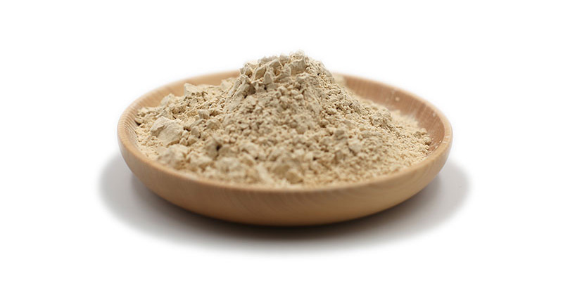 Organic Rice Protein Powder (1)