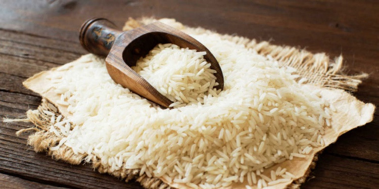 Polvere di proteine ​​di riso biologiche (2)