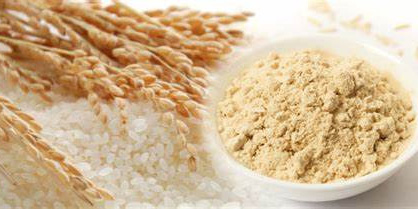 Organik-Nasi-Protein-Serbuk-31