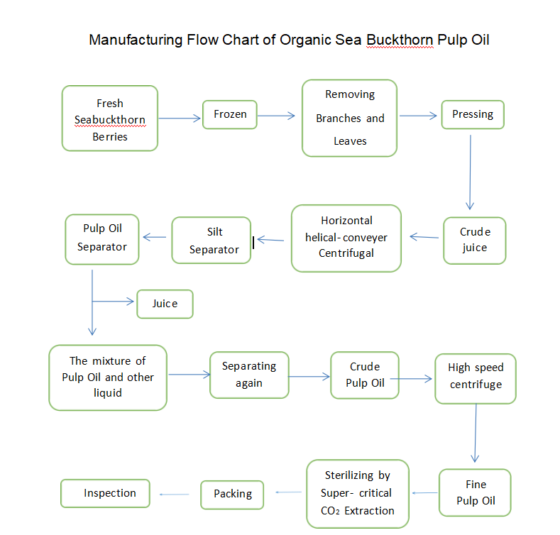 Organika Seabuckthorn frukto Oleo produkta procezo diagramo flow7