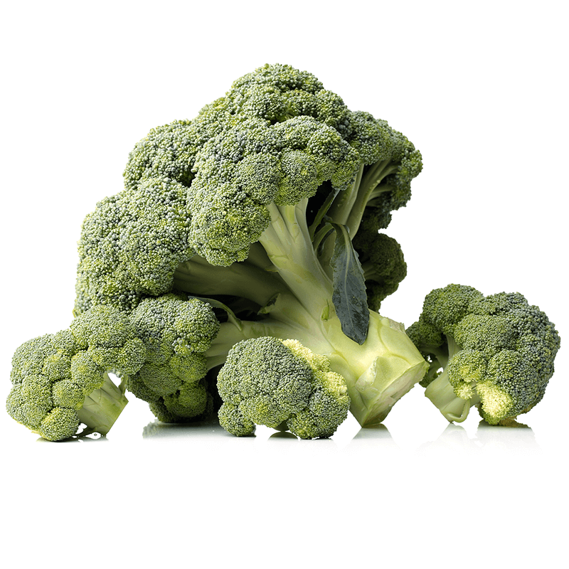 Üzvi brokoli tozu 07