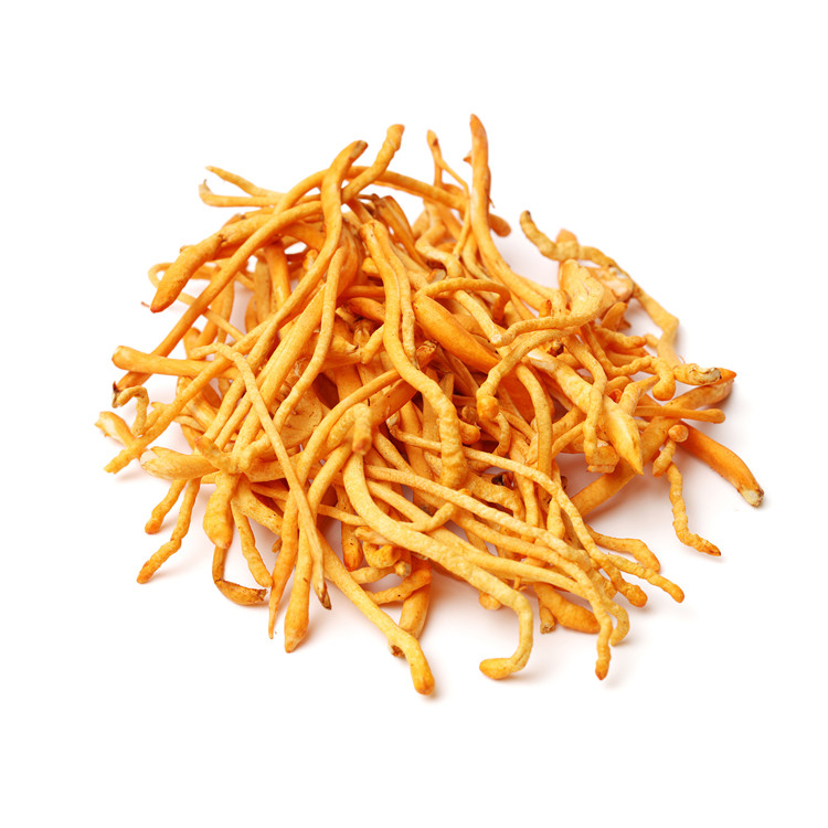 نامياتي_Cordyceps_Militaris_Extract005