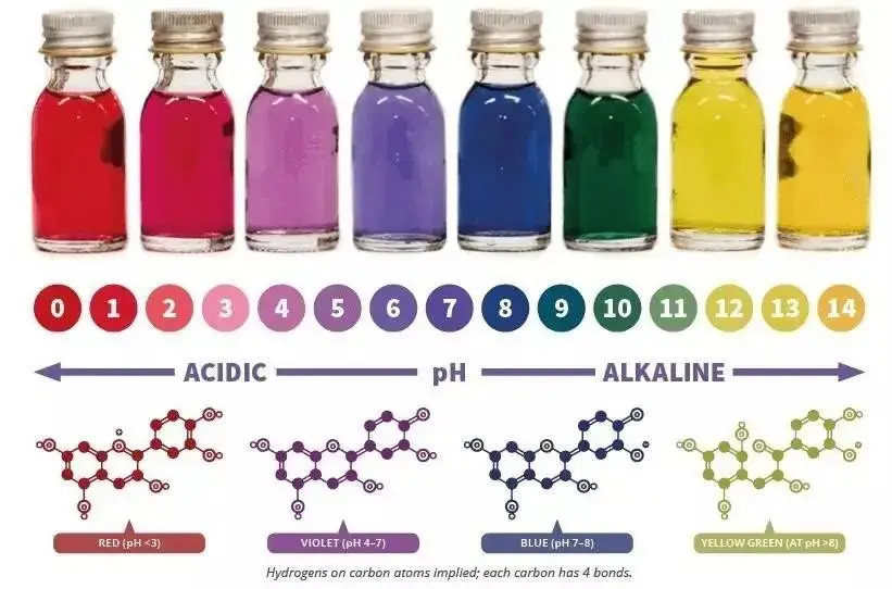 Phycocyanin na Blueberry Blue (5)