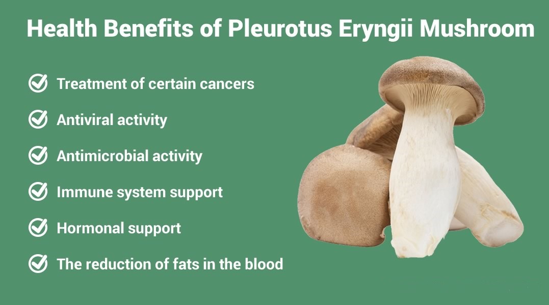 Pleurotus-Eryngii-extract02