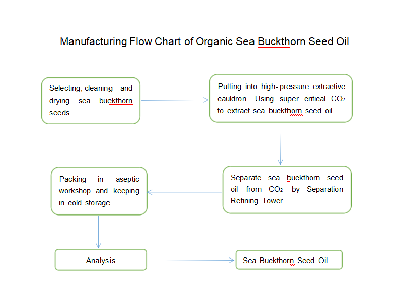 Seabuckthorn Seed Oil proses grafiek vloei