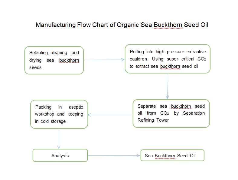 Havtornsfröolja processdiagram flöde