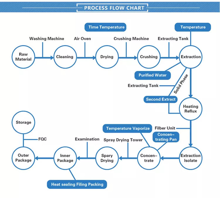 proceso de extracción 001