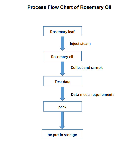 ren organisk rosmarinolja diagram flow001