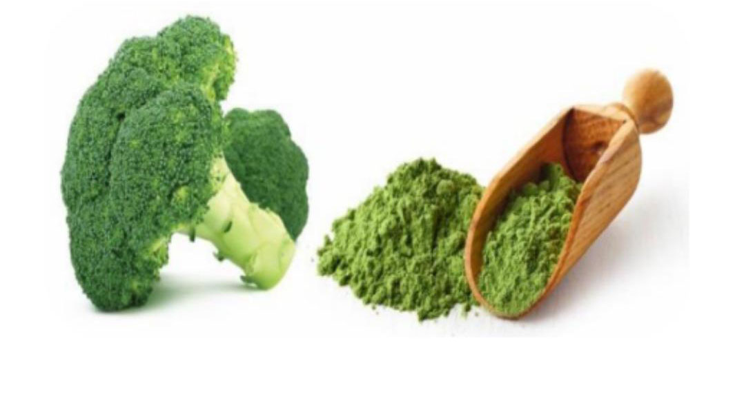 14. Organic Broccoli Powder_00