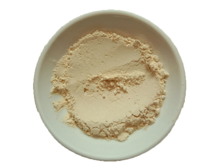 Choline Powder (1)