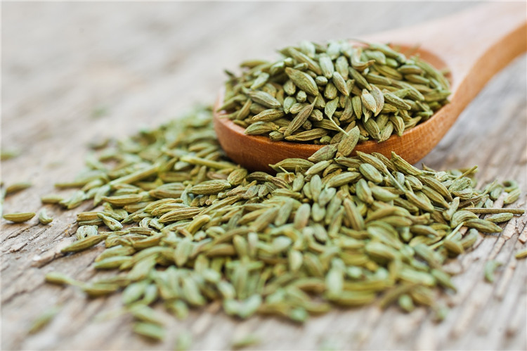 Fennel Seeds 005