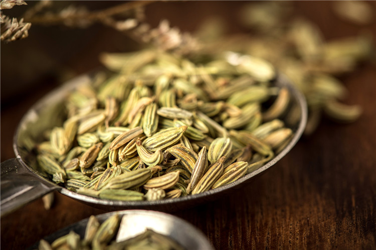 Fennel Seeds 009
