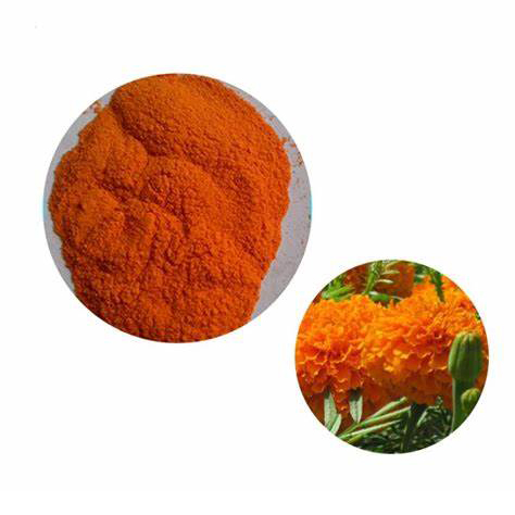 Lutein powder4