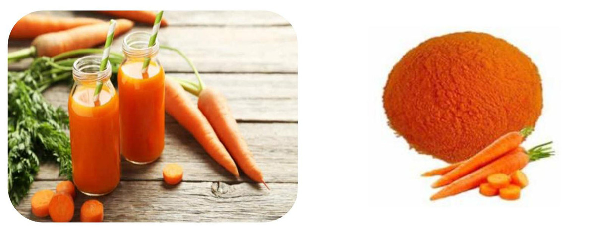 Organic  Carrot Juice Powder (1)