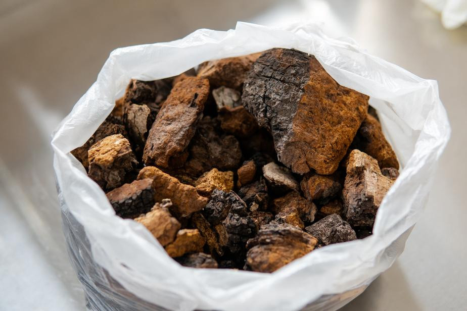 Organic Chaga Extract (1)