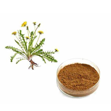 Organic Dandelion Root Ratio Extract Powder (2)