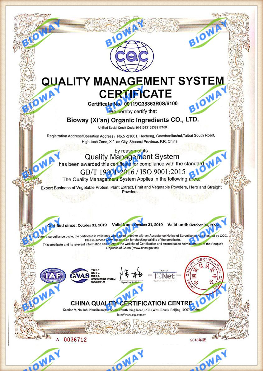 certificate-211