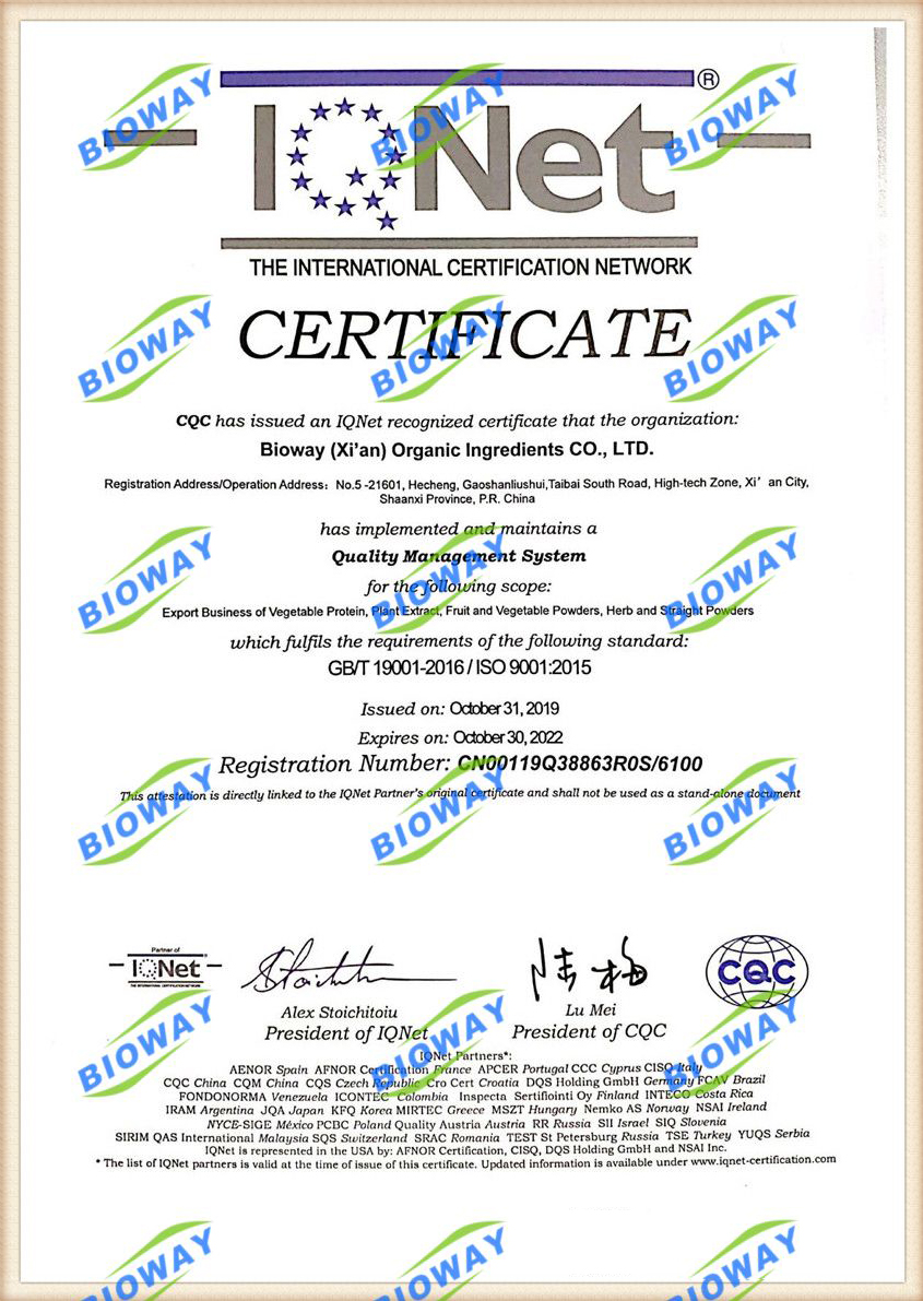 certificate-311