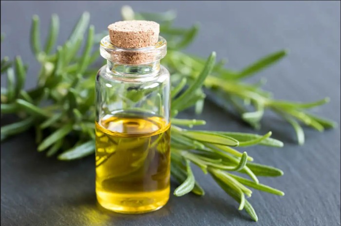 pure organic rosemary oil001_01