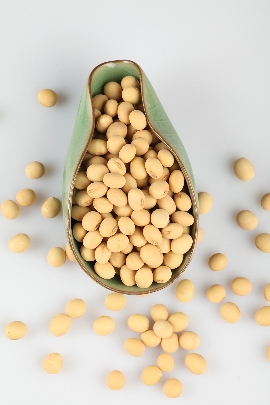 soy bean extract pure Genistein Powder5
